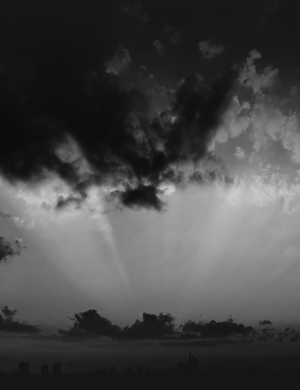 FUJIBO HOLDINGS INC.